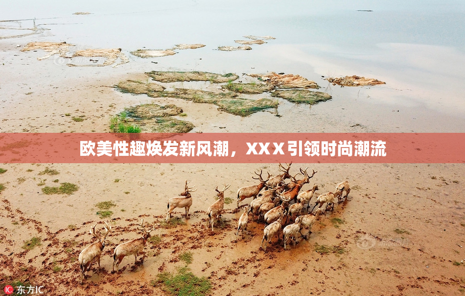 欧美性趣焕发新风潮，XXⅩ引领时尚潮流