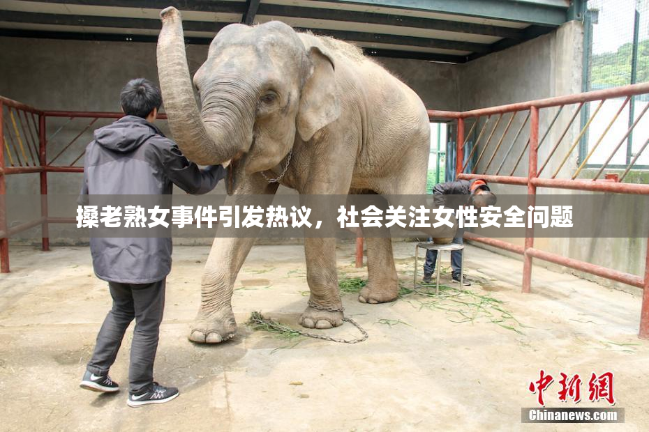 搡老熟女事件引发热议，社会关注女性安全问题