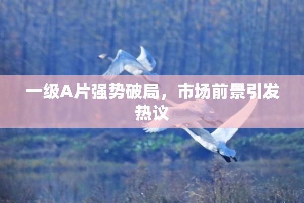 一级A片强势破局，市场前景引发热议