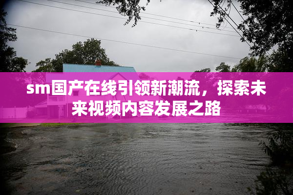 sm国产在线引领新潮流，探索未来视频内容发展之路