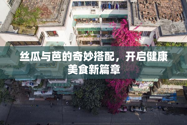 丝瓜与芭的奇妙搭配，开启健康美食新篇章