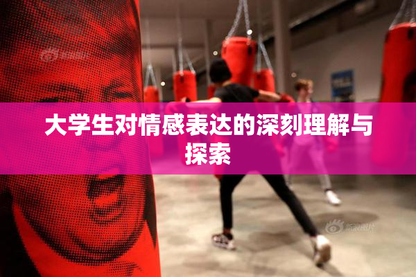 大学生对情感表达的深刻理解与探索