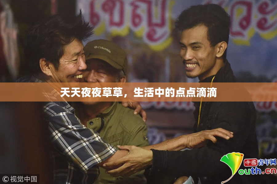 天天夜夜草草，生活中的点点滴滴