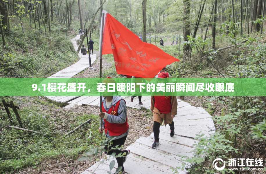 9.1樱花盛开，春日暖阳下的美丽瞬间尽收眼底