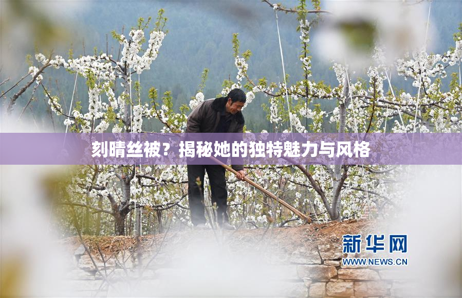 刻晴丝被？揭秘她的独特魅力与风格