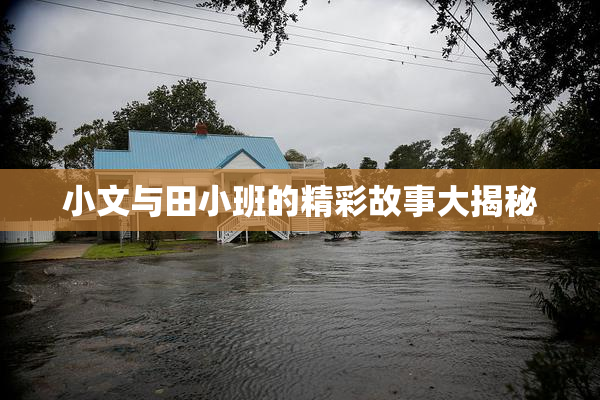 小文与田小班的精彩故事大揭秘