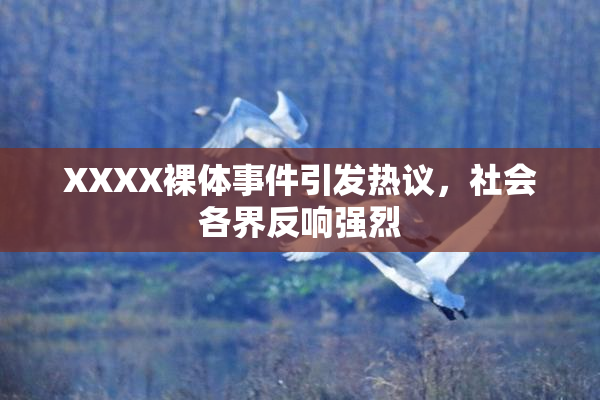 XXXX裸体事件引发热议，社会各界反响强烈