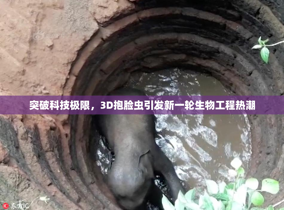 突破科技极限，3D抱脸虫引发新一轮生物工程热潮
