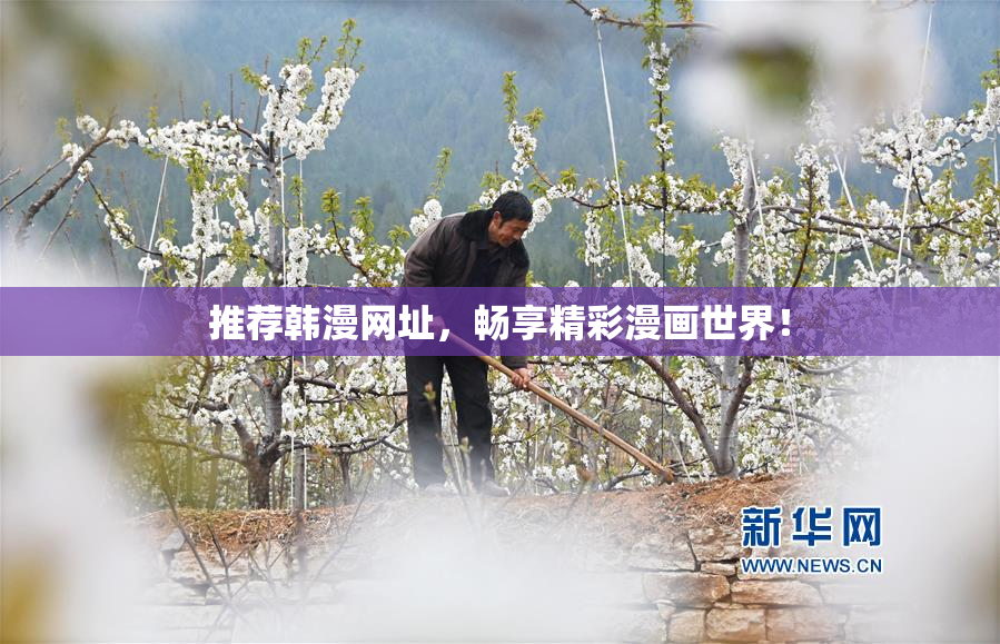 推荐韩漫网址，畅享精彩漫画世界！