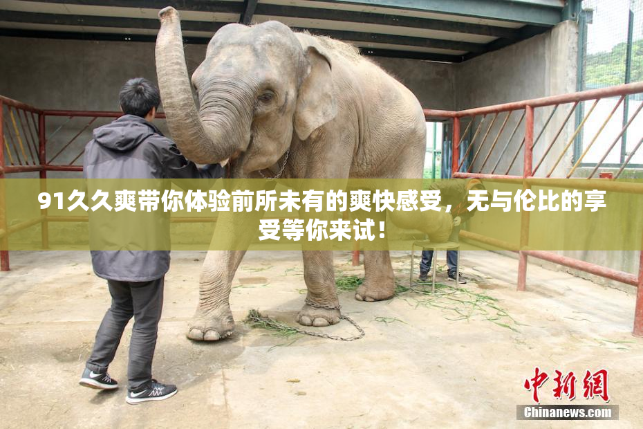 91久久爽带你体验前所未有的爽快感受，无与伦比的享受等你来试！