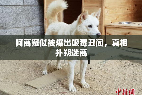阿离疑似被爆出吸毒丑闻，真相扑朔迷离