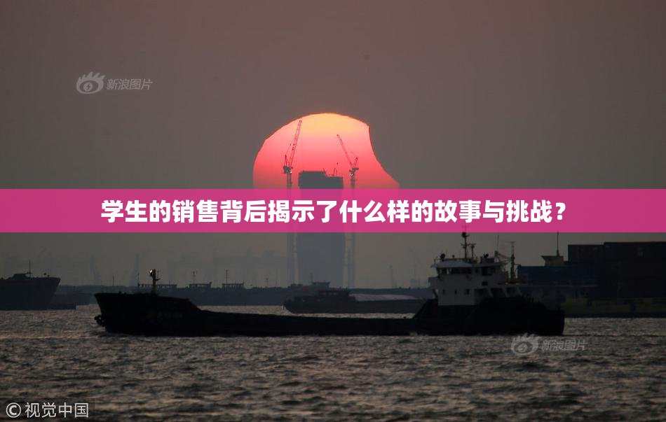 学生的销售背后揭示了什么样的故事与挑战？