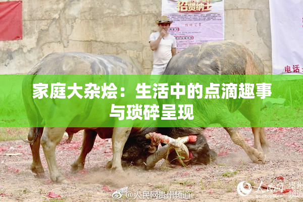 家庭大杂烩：生活中的点滴趣事与琐碎呈现
