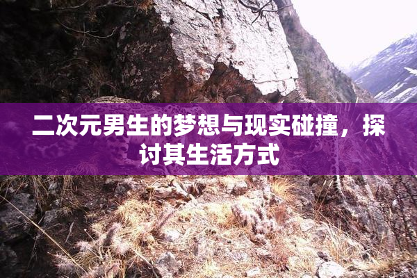 二次元男生的梦想与现实碰撞，探讨其生活方式