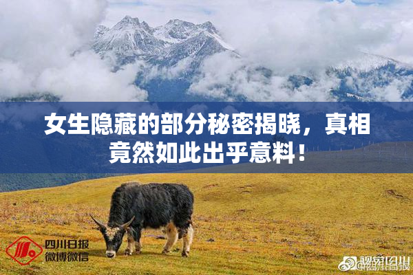 女生隐藏的部分秘密揭晓，真相竟然如此出乎意料！