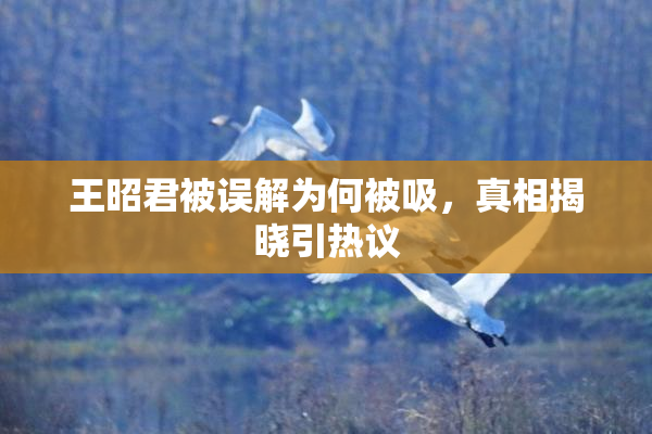 王昭君被误解为何被吸，真相揭晓引热议