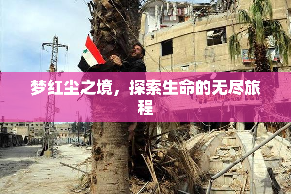 梦红尘之境，探索生命的无尽旅程