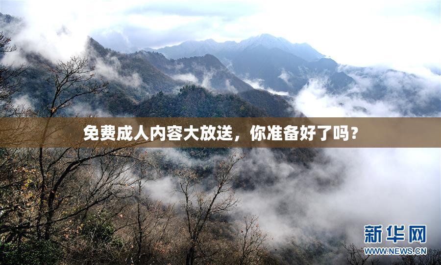 免费成人内容大放送，你准备好了吗？