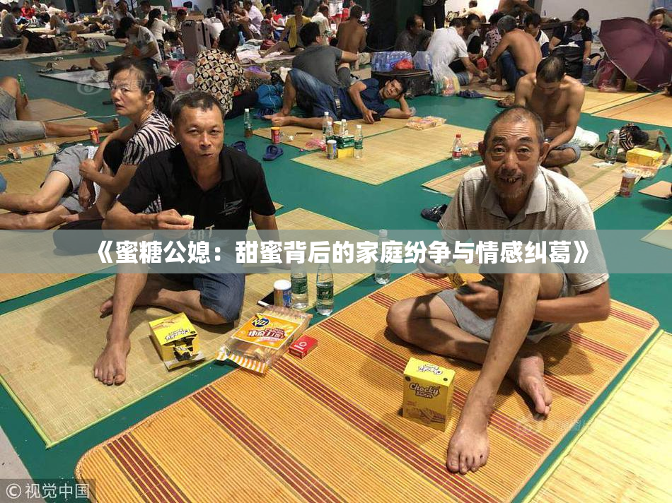 《蜜糖公媳：甜蜜背后的家庭纷争与情感纠葛》