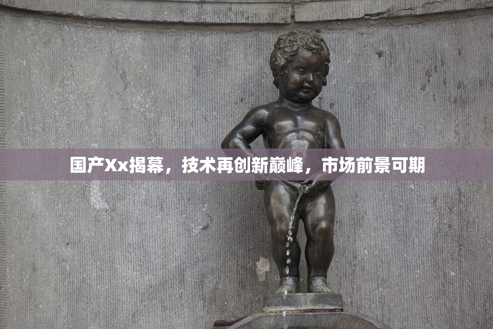 国产Xx揭幕，技术再创新巅峰，市场前景可期