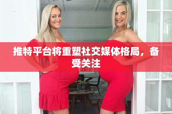 推特平台将重塑社交媒体格局，备受关注