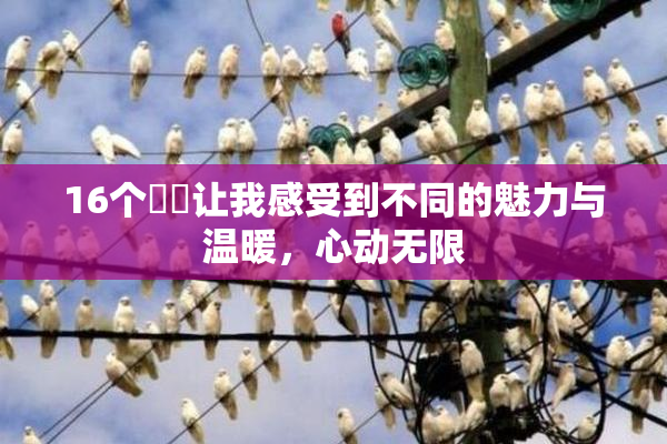 16个妺妺让我感受到不同的魅力与温暖，心动无限