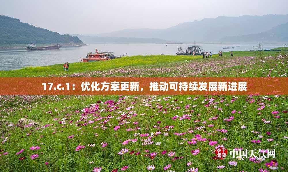 17.c.1：优化方案更新，推动可持续发展新进展