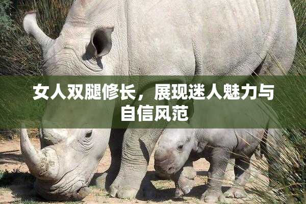 女人双腿修长，展现迷人魅力与自信风范