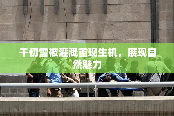 千仞雪被灌溉重现生机，展现自然魅力