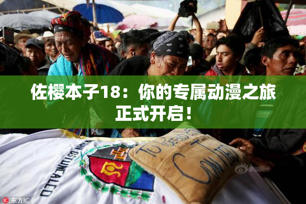 佐樱本子18：你的专属动漫之旅正式开启！