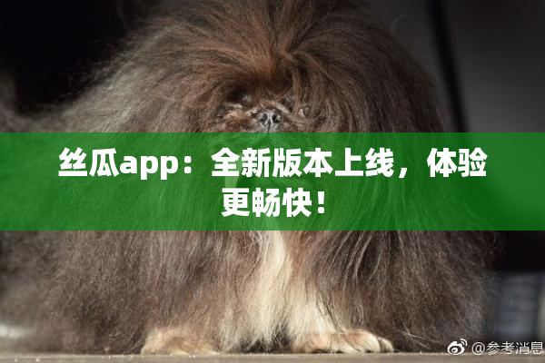 丝瓜app：全新版本上线，体验更畅快！