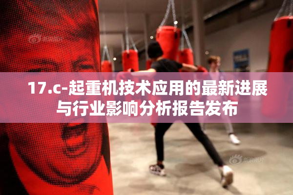 17.c-起重机技术应用的最新进展与行业影响分析报告发布