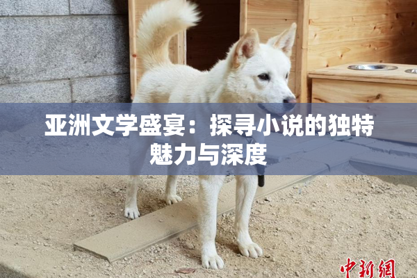 亚洲文学盛宴：探寻小说的独特魅力与深度