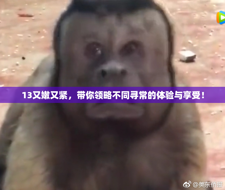 13又嫩又紧，带你领略不同寻常的体验与享受！