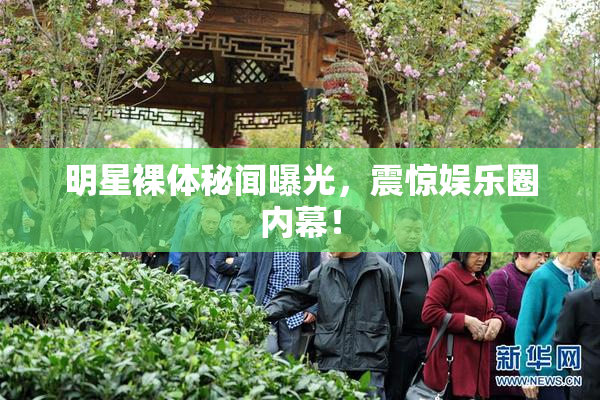 明星裸体秘闻曝光，震惊娱乐圈内幕！