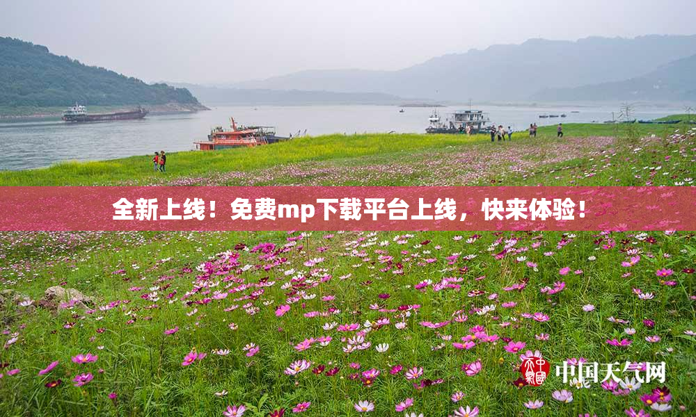 全新上线！免费mp下载平台上线，快来体验！
