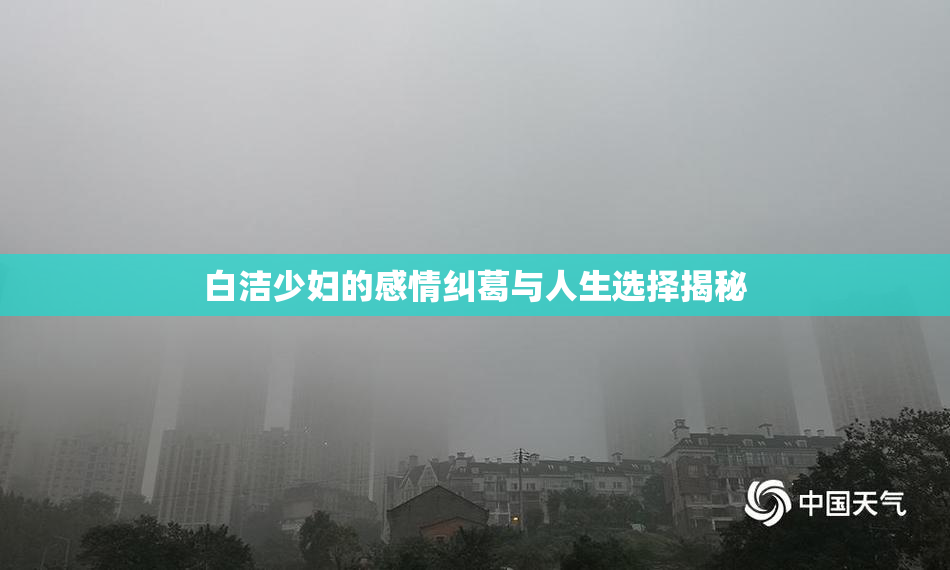 白洁少妇的感情纠葛与人生选择揭秘