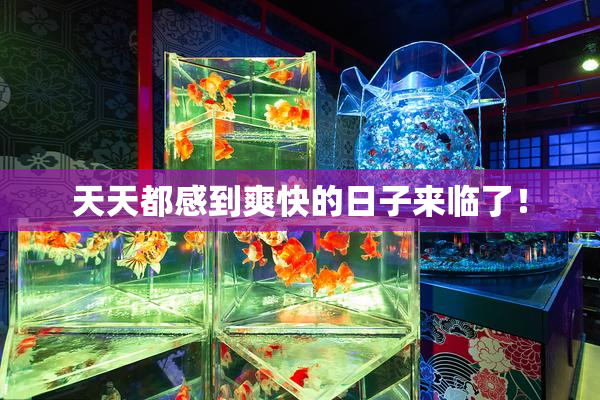 天天都感到爽快的日子来临了！
