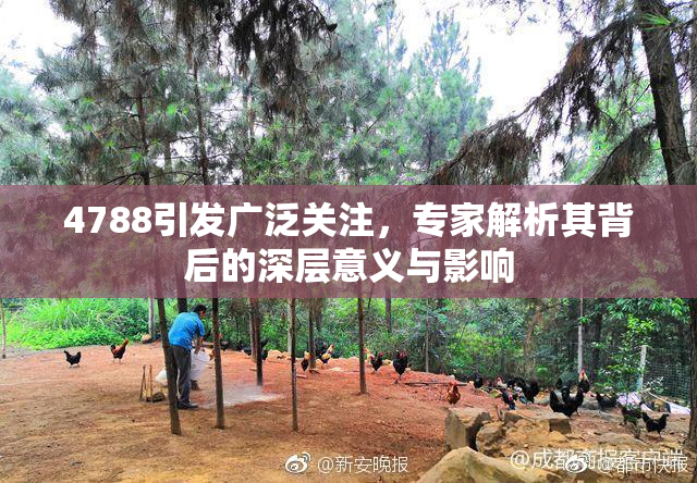 4788引发广泛关注，专家解析其背后的深层意义与影响