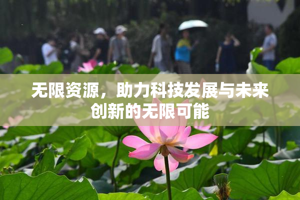 无限资源，助力科技发展与未来创新的无限可能