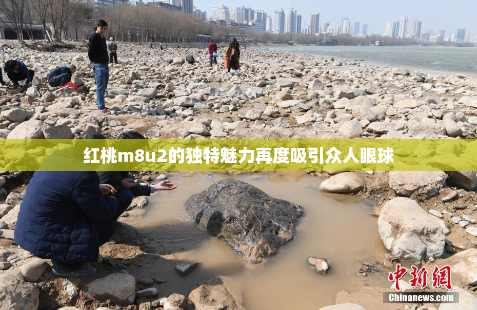 红桃m8u2的独特魅力再度吸引众人眼球