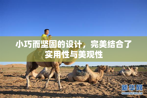 小巧而坚固的设计，完美结合了实用性与美观性