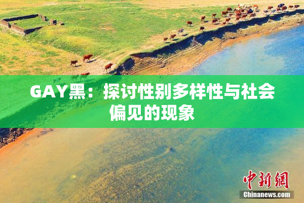 GAY黑：探讨性别多样性与社会偏见的现象