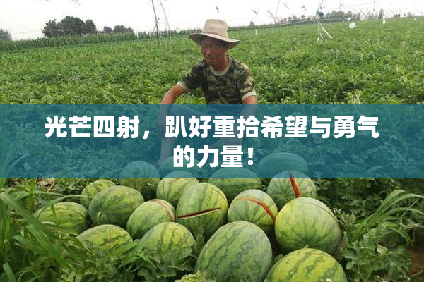 光芒四射，趴好重拾希望与勇气的力量！