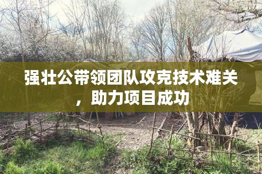 强壮公带领团队攻克技术难关，助力项目成功