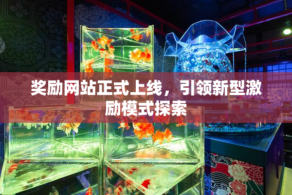 奖励网站正式上线，引领新型激励模式探索