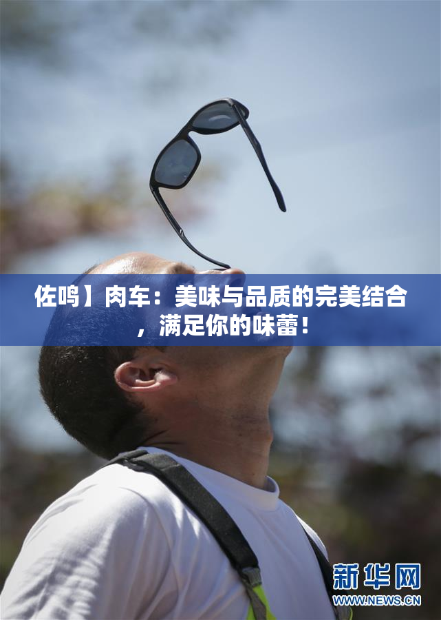 佐鸣】肉车：美味与品质的完美结合，满足你的味蕾！
