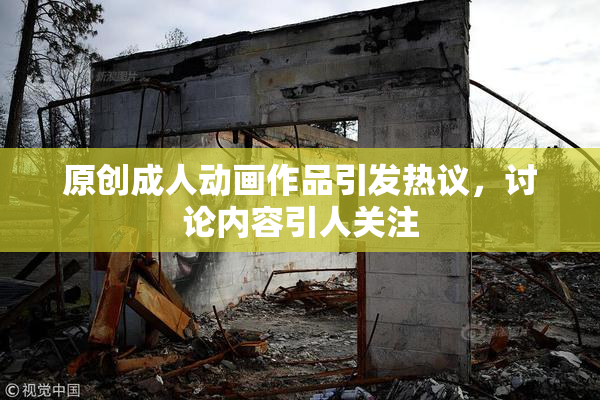 原创成人动画作品引发热议，讨论内容引人关注