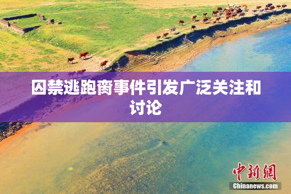 囚禁逃跑脔事件引发广泛关注和讨论