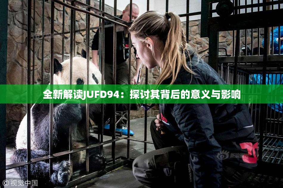 全新解读JUFD94：探讨其背后的意义与影响